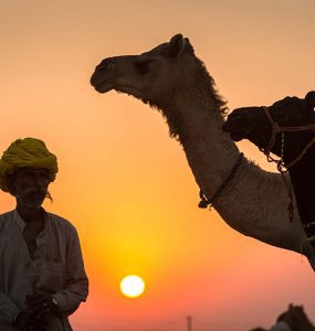 sunset-a-man-with-camel-images