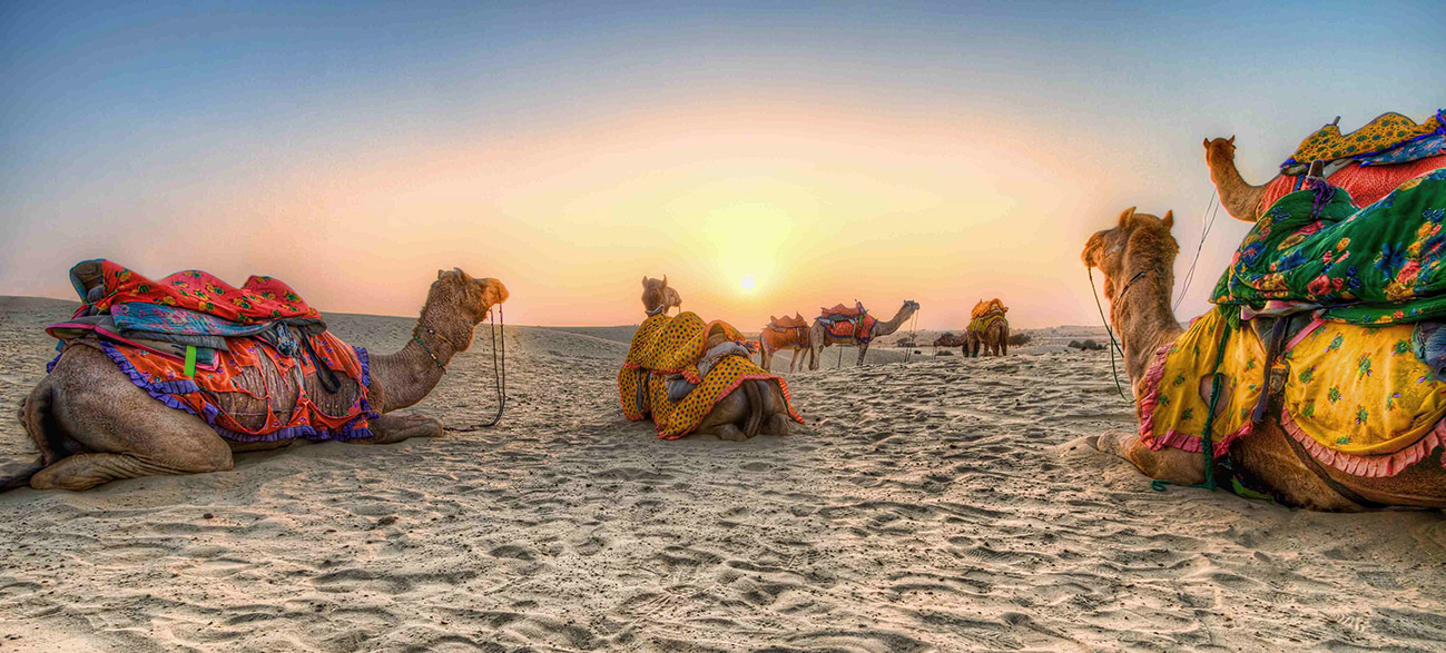 camel-ride-jaisalmer-tour-packages