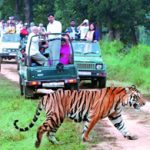 Corbett-tour-packages