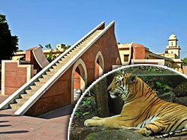 Jaipur-to-Ranthambore-safari-packages-budgets