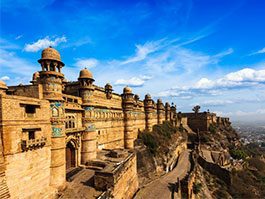 Madhya Pradesh Fort image