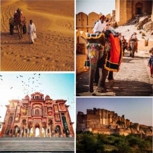 camel, elephants and two historical places in images