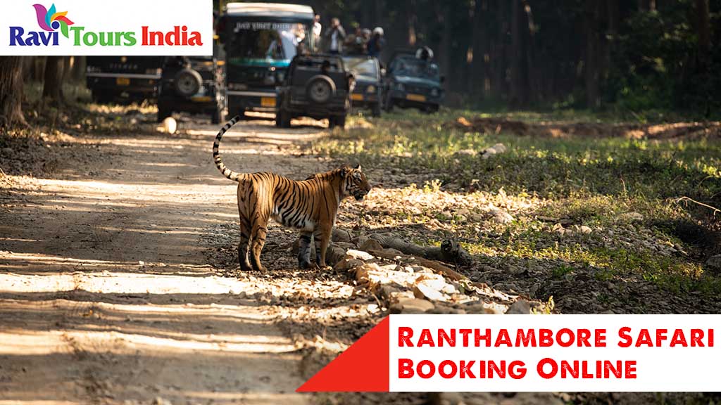 ranthambore safari booking fmdss